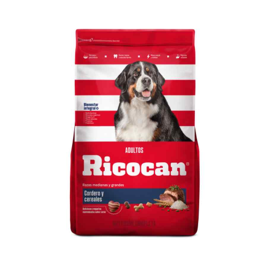 Comida para perros